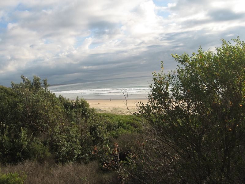Scotts Head beach in the early morning, 2008