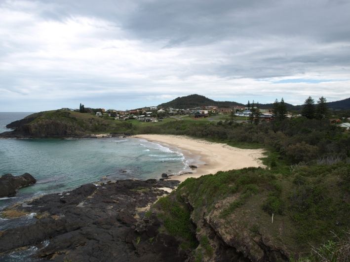 Scotts Head village above its beach